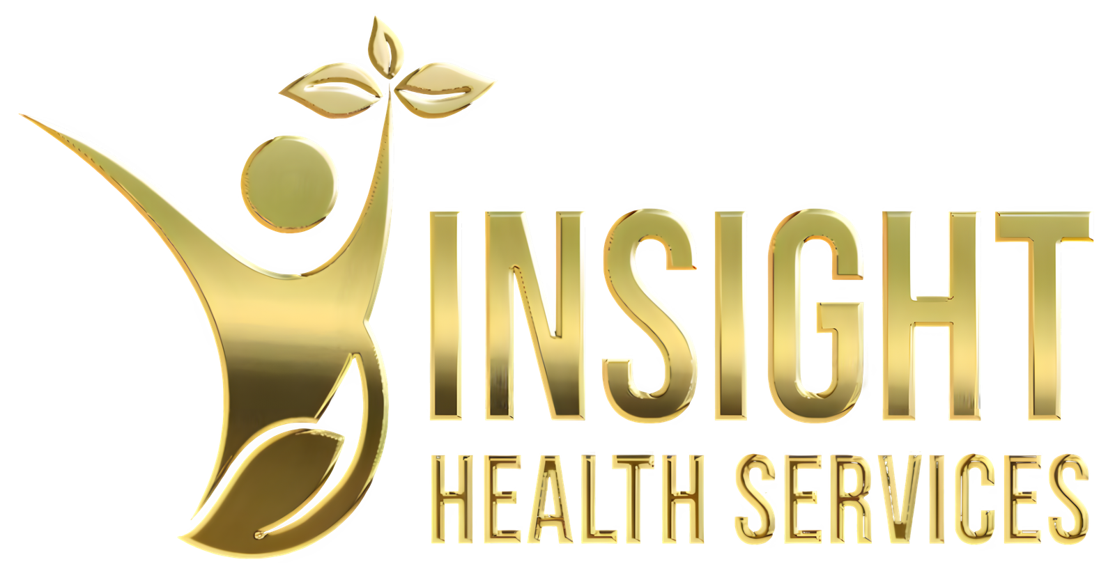 Insight Health Services Logo