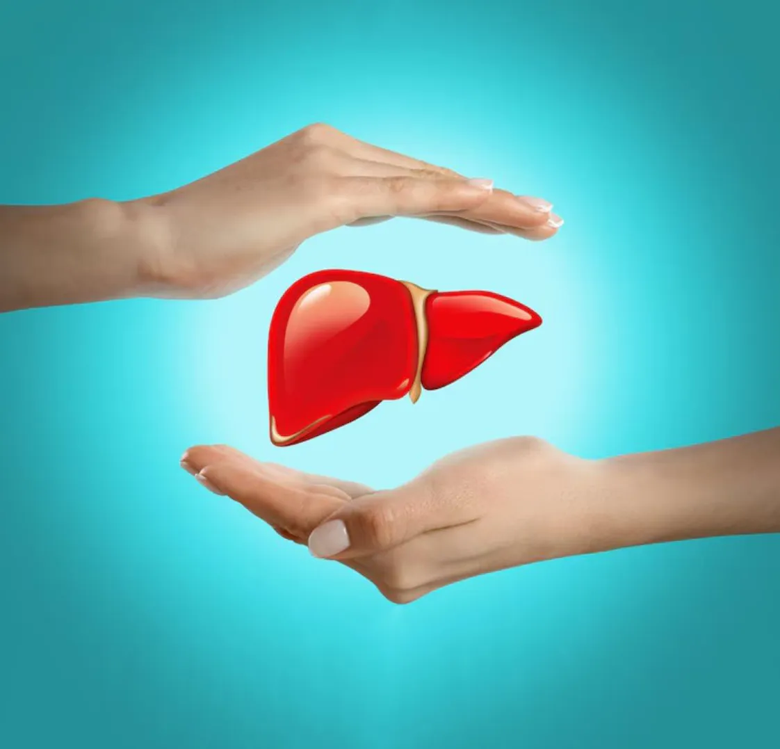 Women Liver Ultrasound Scanning